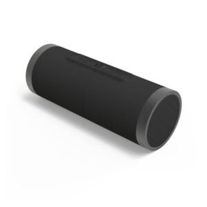 CARNEO TwinDragon surround 60W bluetooth portable speaker