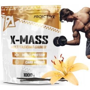 Gainer vanilla powder ProActive 1000 g
