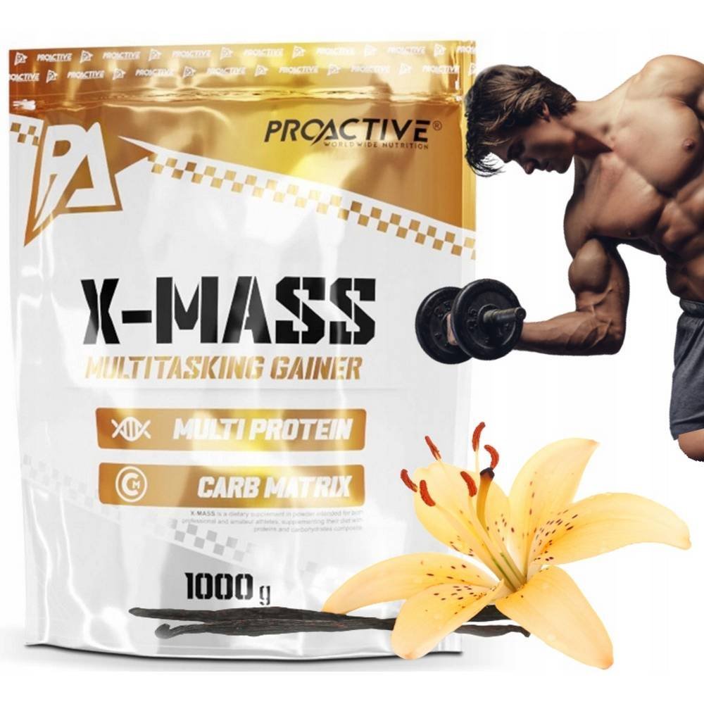 Gainer vanilla powder ProActive 1000 g