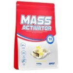 Gainer vanilla powder SFD 1000 g