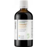 New - Dedek Korenarzh Dedek Korenarzh Dubovki Zubovki 100 ml