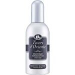 Tesori d'Oriente,Tesori d'Oriente White Musk Eau de Parfum for women 100 ml,Tesori d'Oriente White Musk parfémovaná voda dámská 100 ml