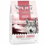 Wolf of Wilderness Adult Scarlet Sunrise